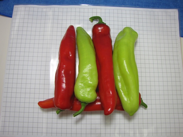 Sweet long Type pepper 730-170 p3